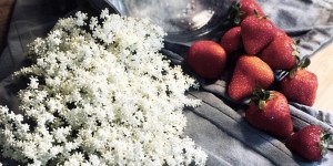 Beitragsbild des Blogbeitrags Homemade Shrub: Erfrischende Limo mit Essig