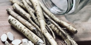 Beitragsbild des Blogbeitrags Mit der Kraft der Wurzeln