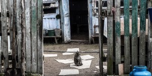 Beitragsbild des Blogbeitrags Moldova: arm und doch so reich