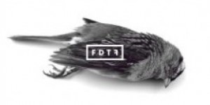 Beitragsbild des Blogbeitrags FDTF: BLVRS