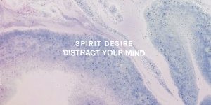 Beitragsbild des Blogbeitrags SPIRIT DESIRE: Distract Your Mind