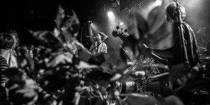 Beitragsbild des Blogbeitrags Farewell Dear Ghost: Austria’s finest Indie