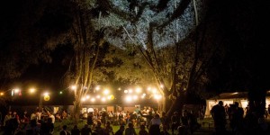 Beitragsbild des Blogbeitrags Ottensheim Open Air: The One and Only