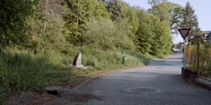 Beitragsbild des Blogbeitrags Crossing Europe 2021: Endphase 