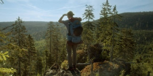 Beitragsbild des Blogbeitrags Festival „Der neue Heimatfilm“: Der wilde Wald