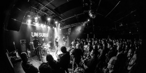 Beitragsbild des Blogbeitrags UK Subs: Fare Well