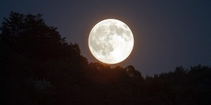 Beitragsbild des Blogbeitrags Schlaflos bei Vollmond – DU auch?