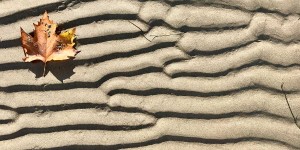 Beitragsbild des Blogbeitrags Gedankengänge #14