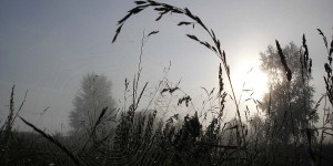 Beitragsbild des Blogbeitrags Geschichtenliebe #11
