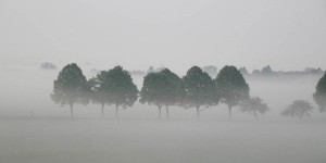 Beitragsbild des Blogbeitrags Zeig dem Winter-Blues die kalte Schulter!