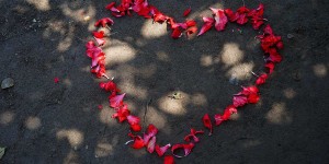 Beitragsbild des Blogbeitrags Geschichtenliebe #24 