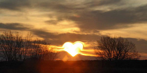 Beitragsbild des Blogbeitrags Geschichtenliebe #47
