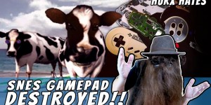 Beitragsbild des Blogbeitrags CRAZY GUY FROM ALPS DESTROYS SNES GAMEPAD!!