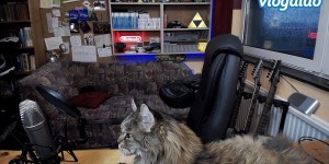 Beitragsbild des Blogbeitrags Willkommen auf humaldos Vlog-Kanal! 