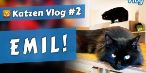 Beitragsbild des Blogbeitrags EMIL im Kampf gegen das garstige Nassfutter •