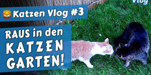 Beitragsbild des Blogbeitrags Zum ERSTEN Mal im gesicherten GARTEN! •