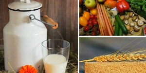 Beitragsbild des Blogbeitrags Vegetarismus