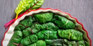 Beitragsbild des Blogbeitrags Mangoldrouladen 