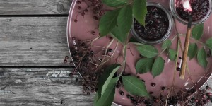 Beitragsbild des Blogbeitrags Hollerröster 