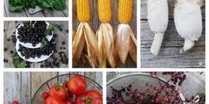 Beitragsbild des Blogbeitrags Colours of life #maximaCOMEPASS 