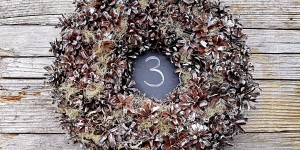 Beitragsbild des Blogbeitrags TCM Online ADVENTKALENDER
