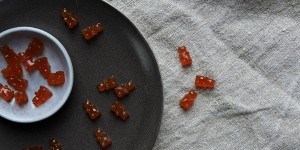 Beitragsbild des Blogbeitrags Sanddornsirup-Fruchtbärlis