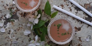 Beitragsbild des Blogbeitrags Rhabarbersirup
