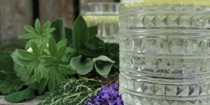 Beitragsbild des Blogbeitrags 7-Kräutersirup