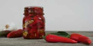 Beitragsbild des Blogbeitrags eingelegte Chilis