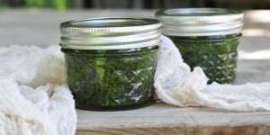 Beitragsbild des Blogbeitrags Liebstöckelpesto