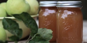 Beitragsbild des Blogbeitrags Apfel-Rhabarber-Marmelade