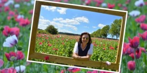 Beitragsbild des Blogbeitrags AUSFLUG TIPP IM JULI: Mohnblütenzauber im Waldviertler Mohndorf