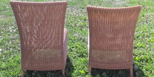 Beitragsbild des Blogbeitrags Willst du deinen Garten mit mir teilen?