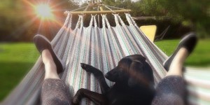 Beitragsbild des Blogbeitrags EASY ON A SUNDAY: Heute ned, sonst aber gern….