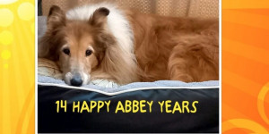 Beitragsbild des Blogbeitrags Alles Gute zum 14. Geburtstag!