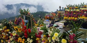 Beitragsbild des Blogbeitrags Umgang mit dem Tod