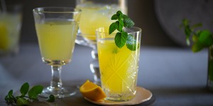 Beitragsbild des Blogbeitrags Switchel Rezept mit Birkenzucker – Trendgetränk