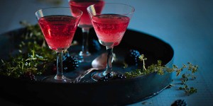 Beitragsbild des Blogbeitrags Pink Gin with Berries