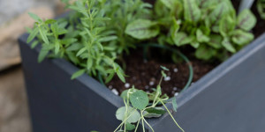 Beitragsbild des Blogbeitrags {diy} Kräuter-Hochbeet für Balkon und Garten