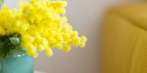 Beitragsbild des Blogbeitrags {color} Cover me in sunshine – Wohnen mit der Trendfarbe Gelb 