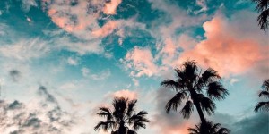 Beitragsbild des Blogbeitrags The Des & Jen Summer Playlist 