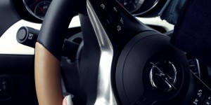 Beitragsbild des Blogbeitrags Opel Adam Rocks