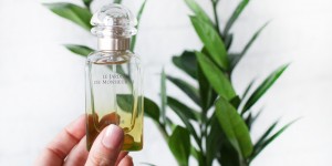 Beitragsbild des Blogbeitrags Hermès Le Jardin de Monsieur Li – zitrische Leichtigkeit mit Tiefgang 