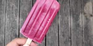 Beitragsbild des Blogbeitrags Beereneis mit Weichseln