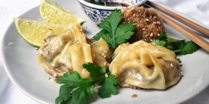 Beitragsbild des Blogbeitrags Gyoza mit Chinakohl, Tofu & Pilzen 