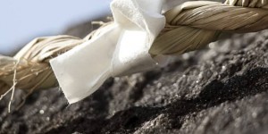 Beitragsbild des Blogbeitrags Vorsätze umsetzen heißt Gewohnheiten ändern 