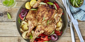Beitragsbild des Blogbeitrags Gegrilltes Hähnchen mit Avocados und Paprika 