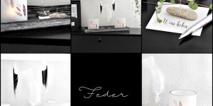 Beitragsbild des Blogbeitrags DIY - Federspielereien..