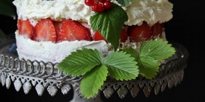 Beitragsbild des Blogbeitrags Fruchtiges Erdbeertörtchen und zauberhafte Rosenbilder