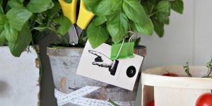 Beitragsbild des Blogbeitrags Das perfekte Geschenk für einen Grillabend 